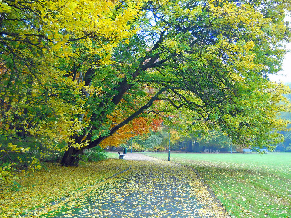 Pildammsparken Malmö Sweden