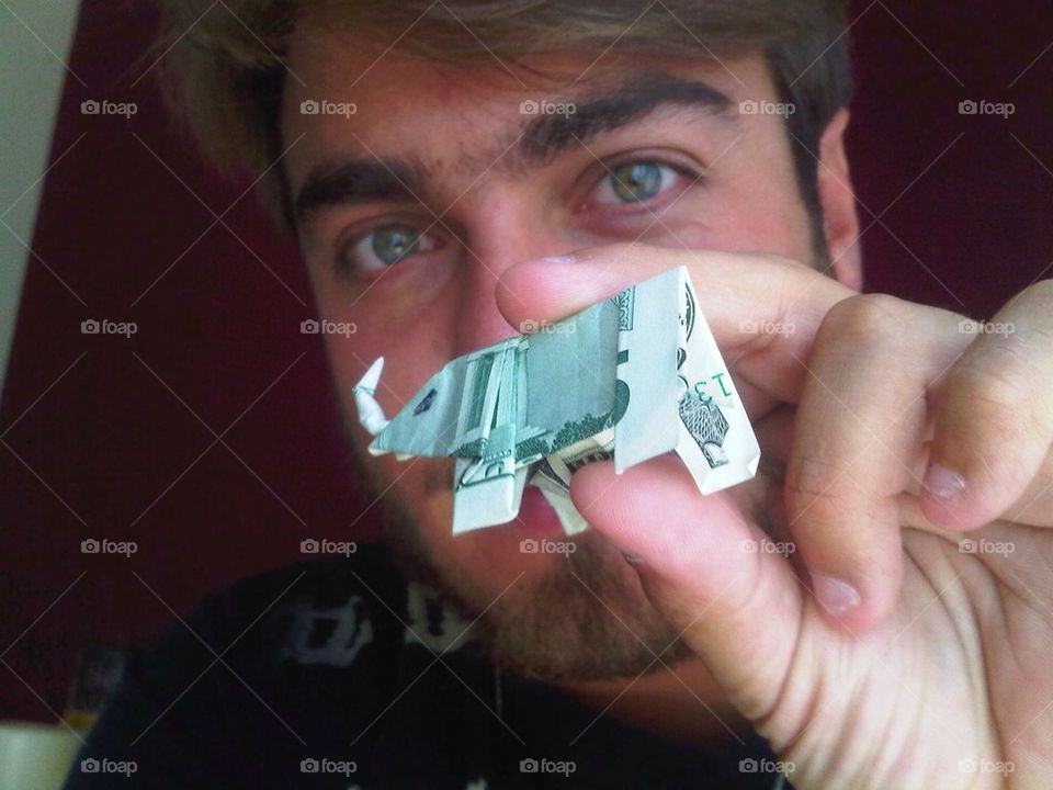 Elephant origami dollar bill