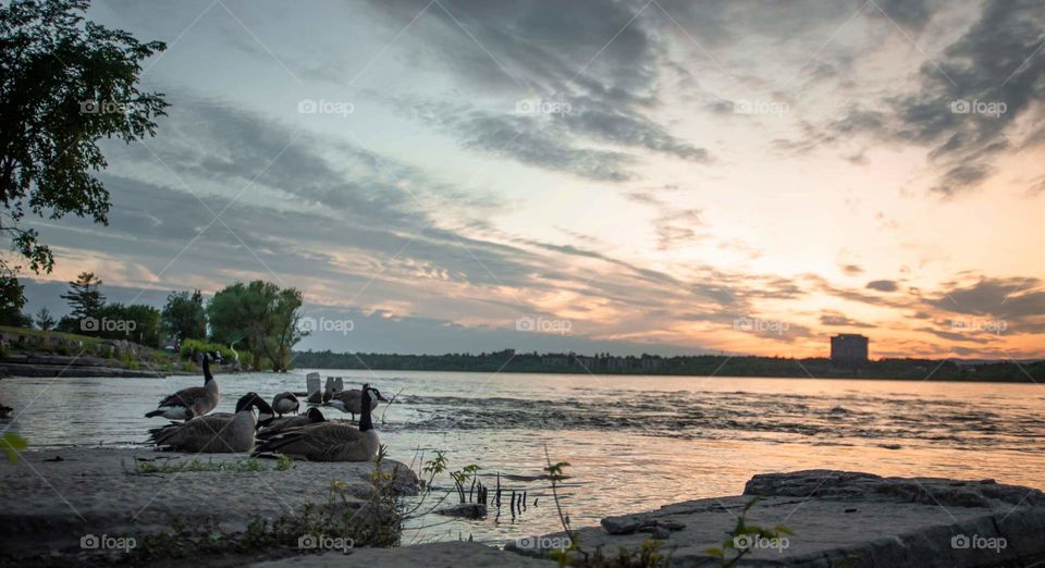 Evening on the lake