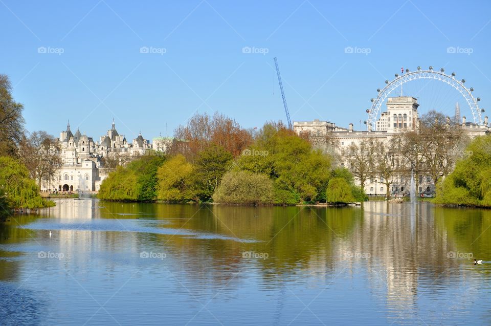 lake in the park