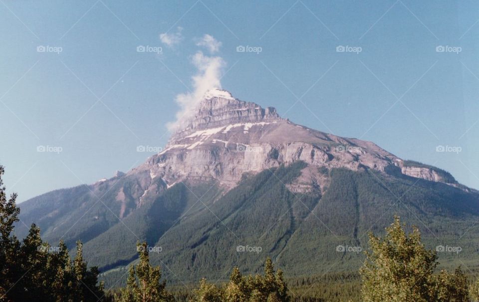 Mountain trees Canada