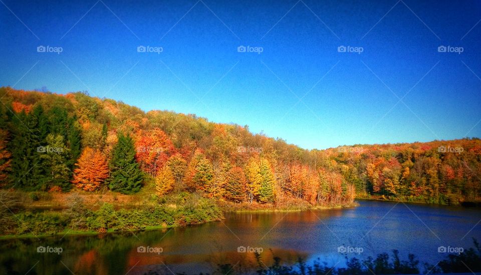 Ellicotville, NY. The fall foliage in Western NY...
