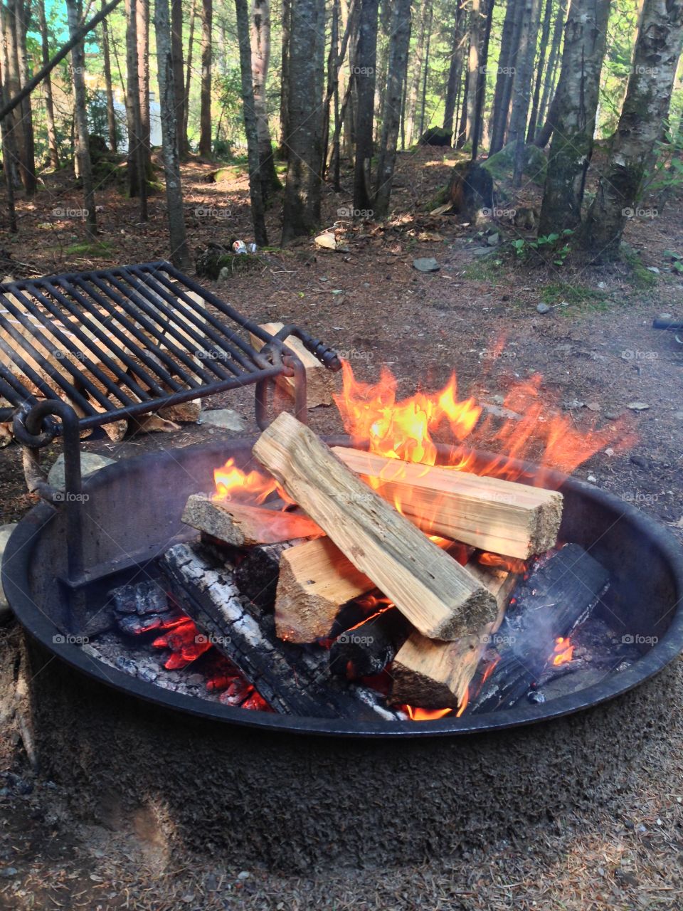 Campfire. Fire pit set ablaze . Warm toasty fire. 