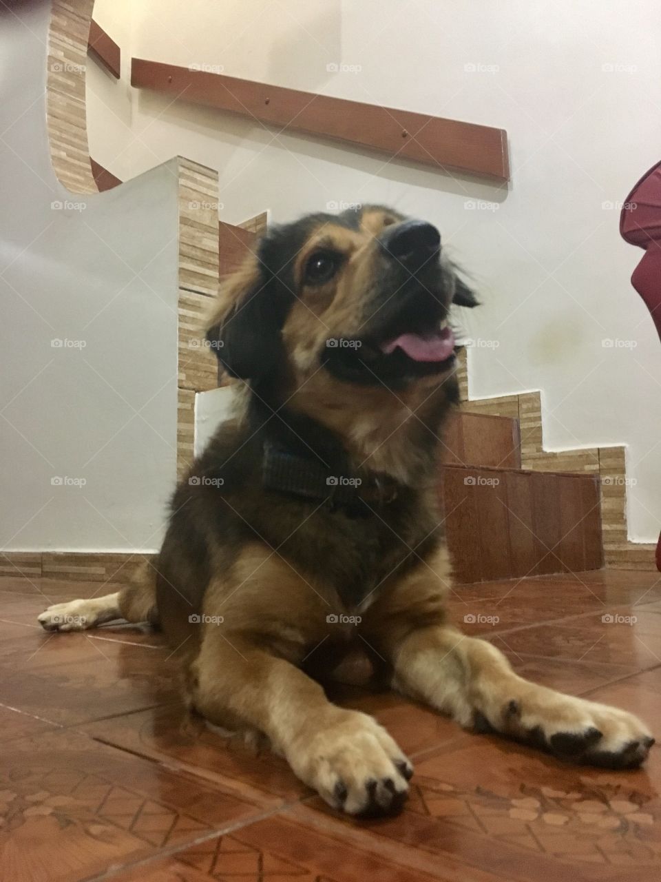 My little love ❤️