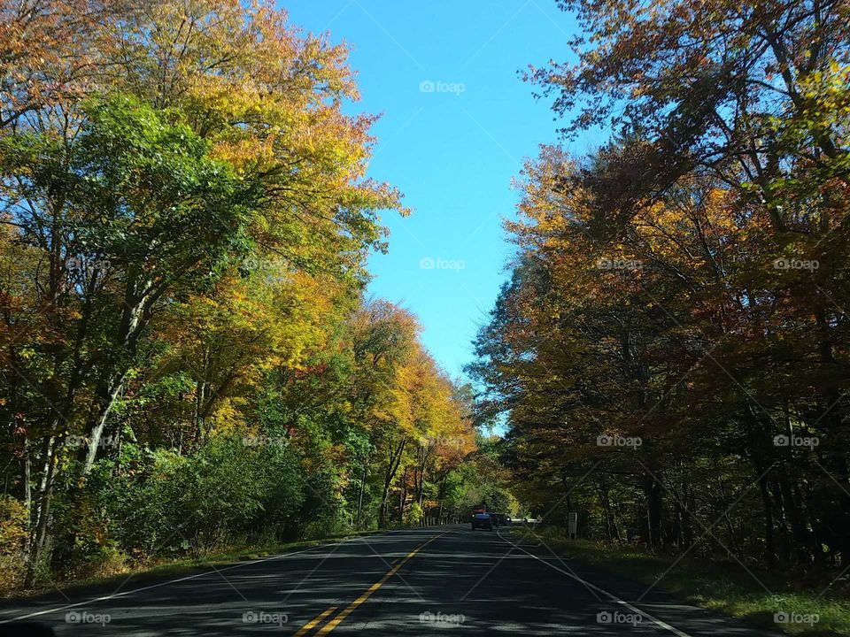 Fall in Connecticut
