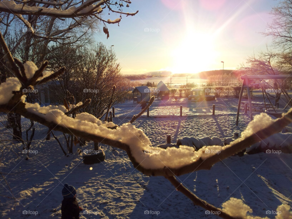 snow winter winter trees sweden by ninamaria