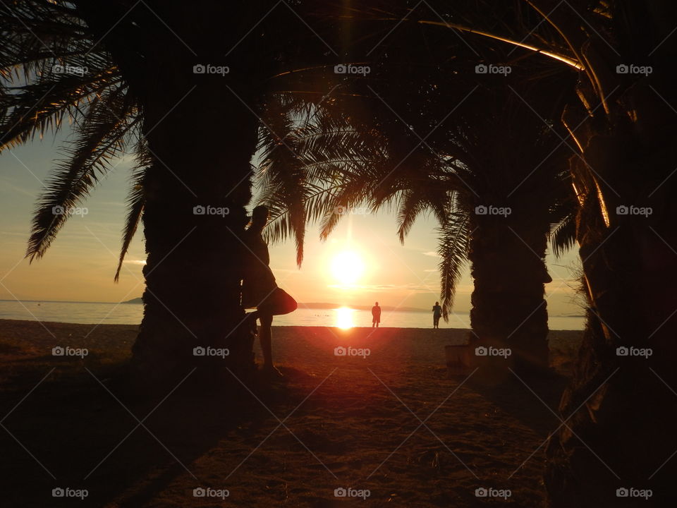 sunset between palms