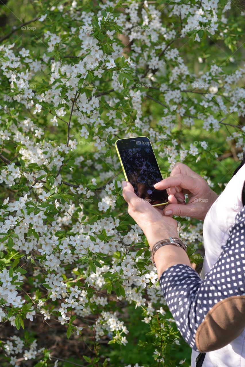 take pictures smartphone, spring nature, photographer