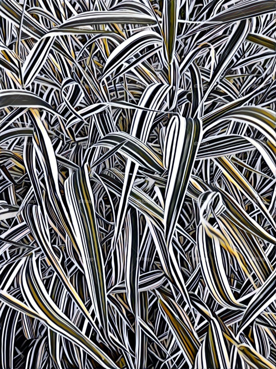 Decor with grass. Part  5.