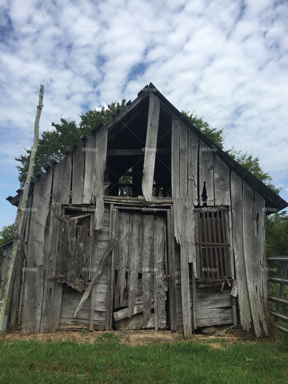 Weathered wood