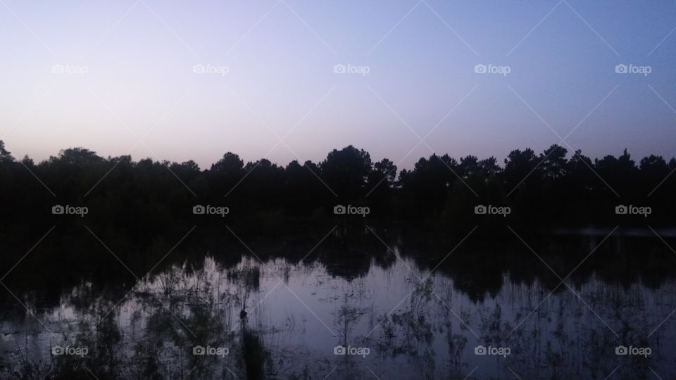Evening Lake