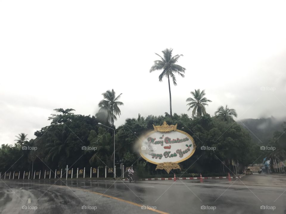 Merry christmas : a merry xmas sign near palm trees in the street in phuket