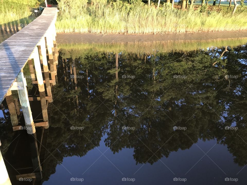 Reflection of dock and flora on still water.