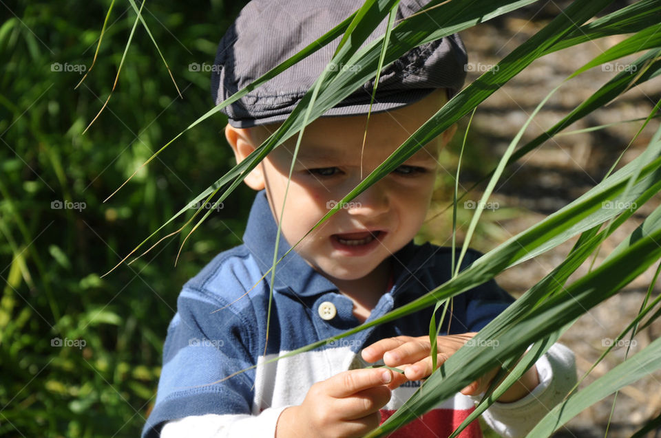 light nature summer child by nivoa