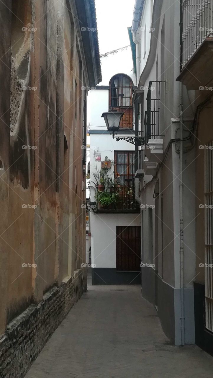 paseando Sevilla