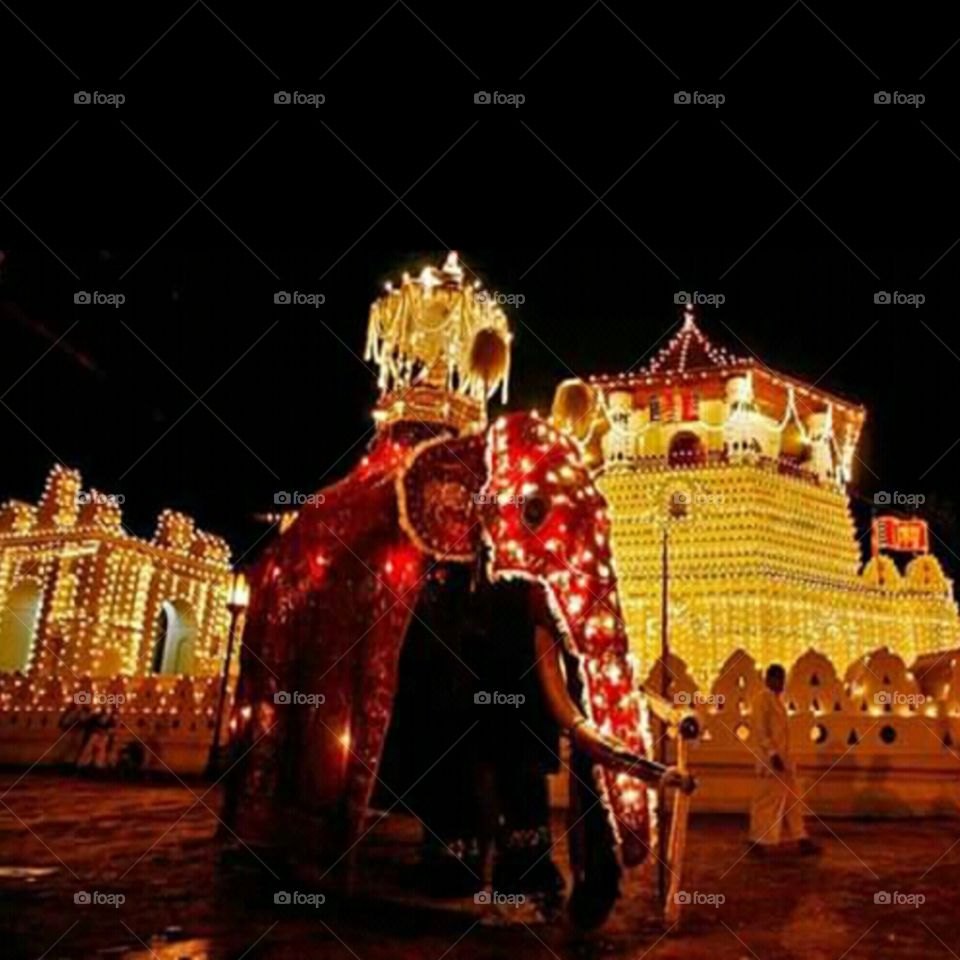 traditional kandy perahera - srilanka