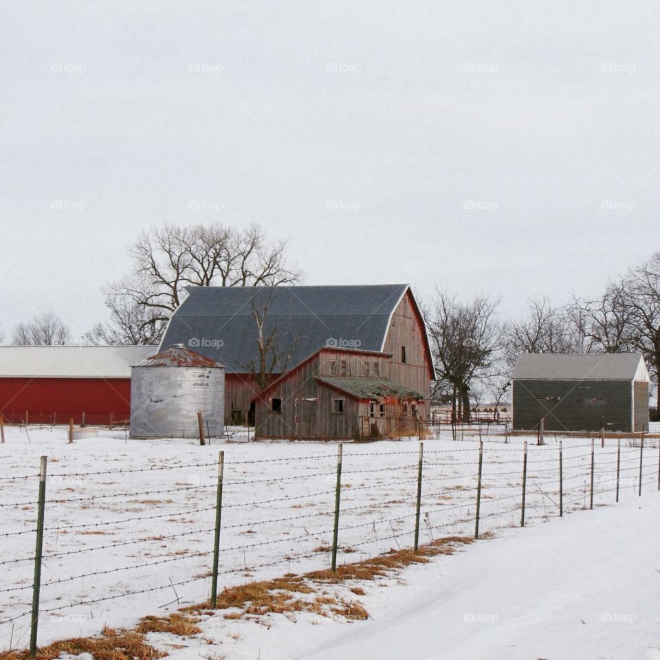 Beautiful farm 