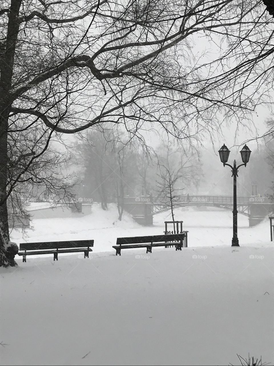 A winterview of a park in Riga, Latvia