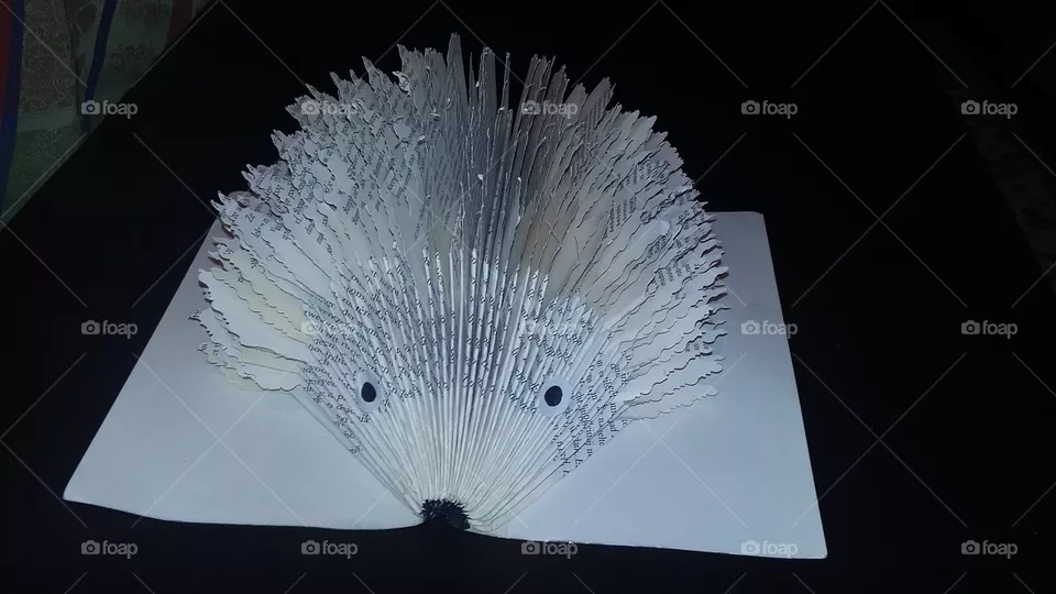 A hedgehog made from a book