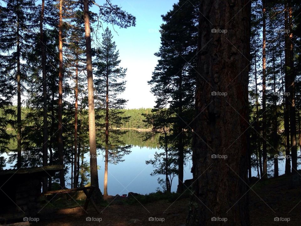 sweden forest lake blue sky by johanhook