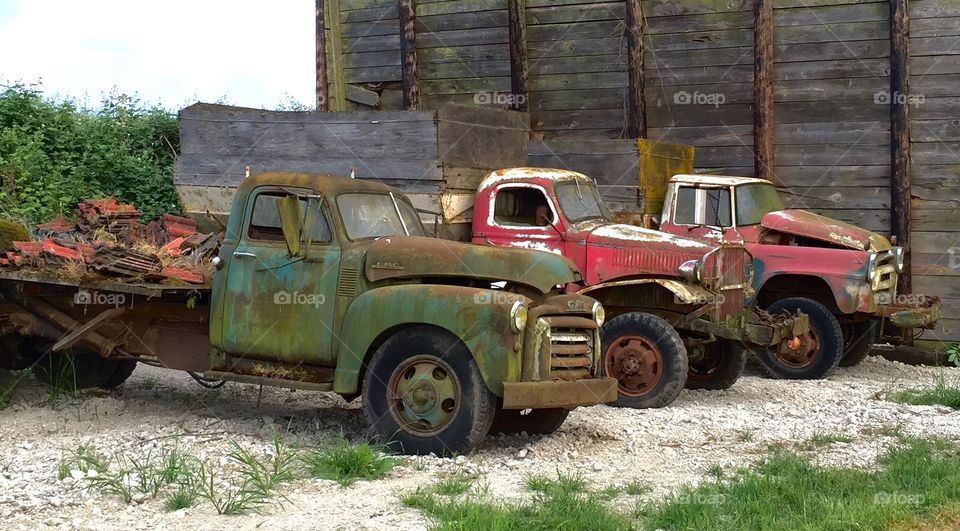 Truck Trio. Old farm trucks ready to roll (or not).