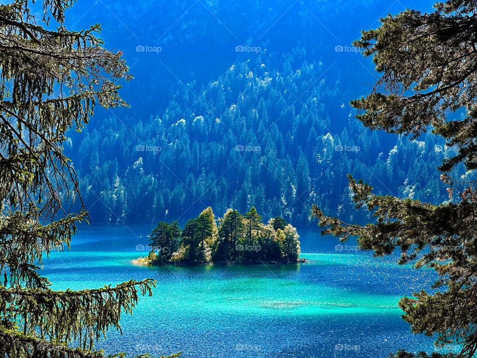Magic island in magic lake in magic forest 