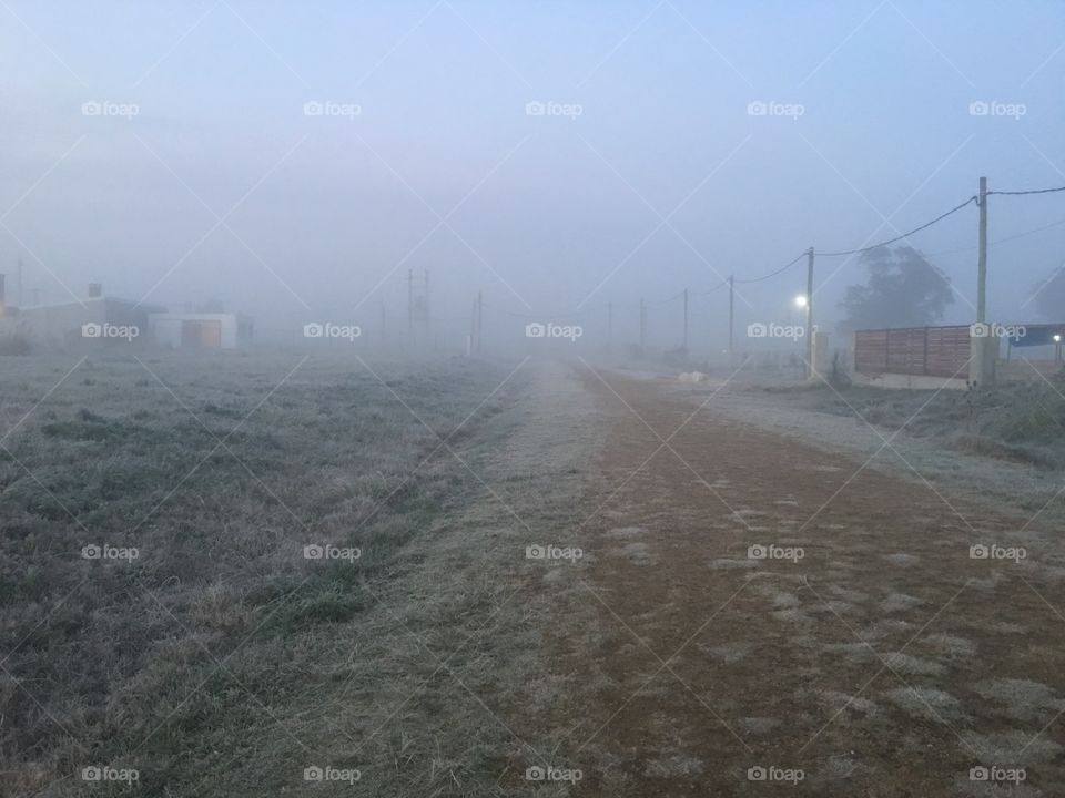 A morning on winter with fog in Uruguay.