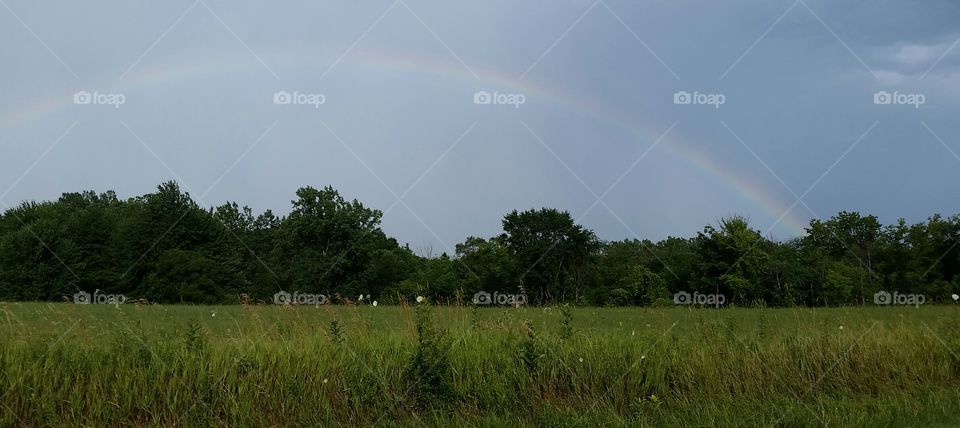 Summer Rainbow