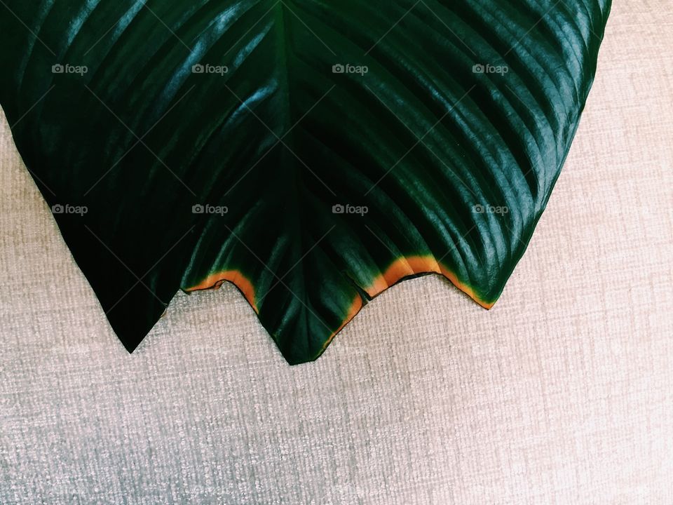 Creative Perspective of an Ordinary Object