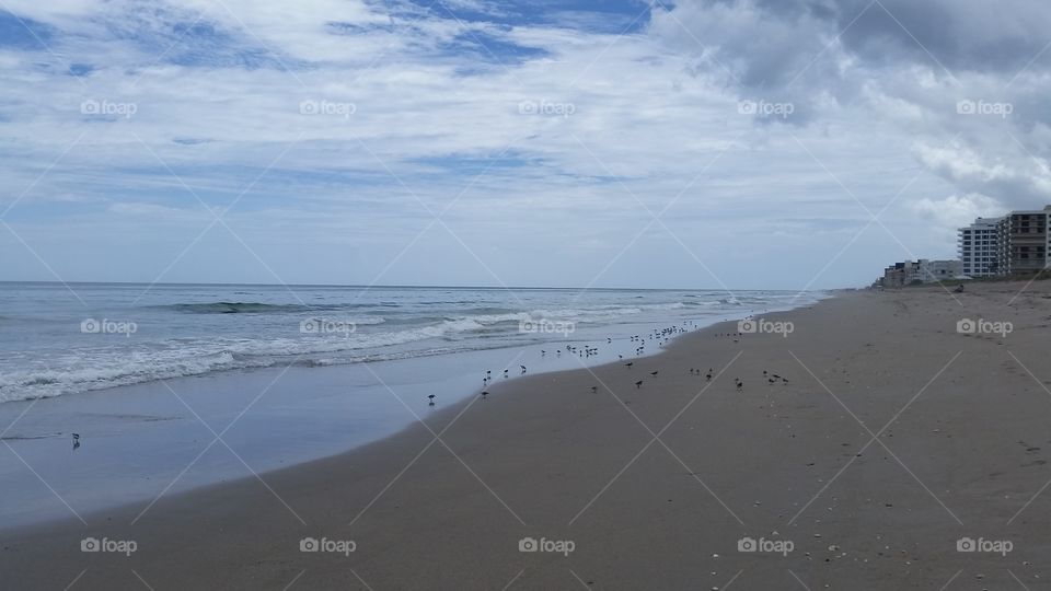 Walking on the beach