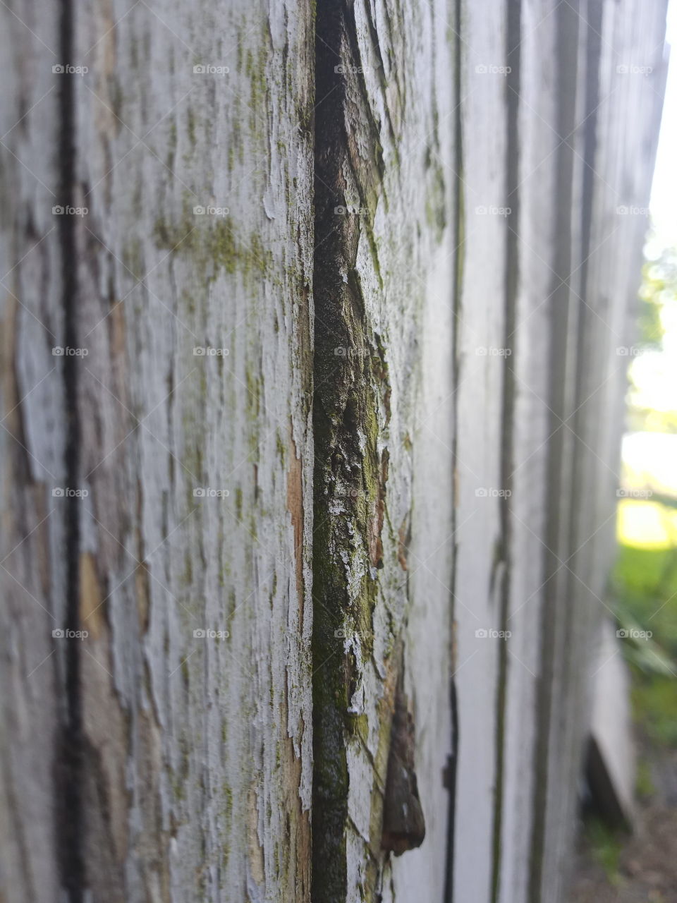 weathered wooden fence