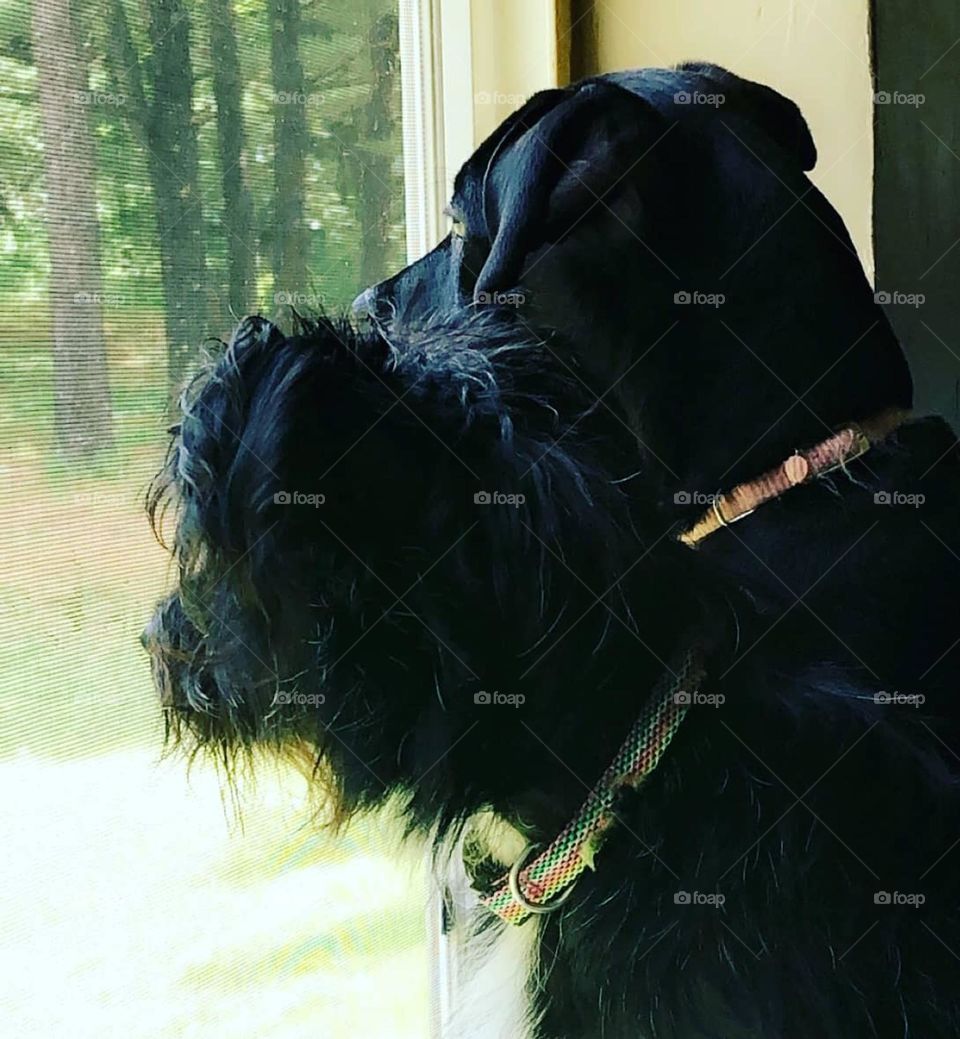 Let me tell you about my best friends.