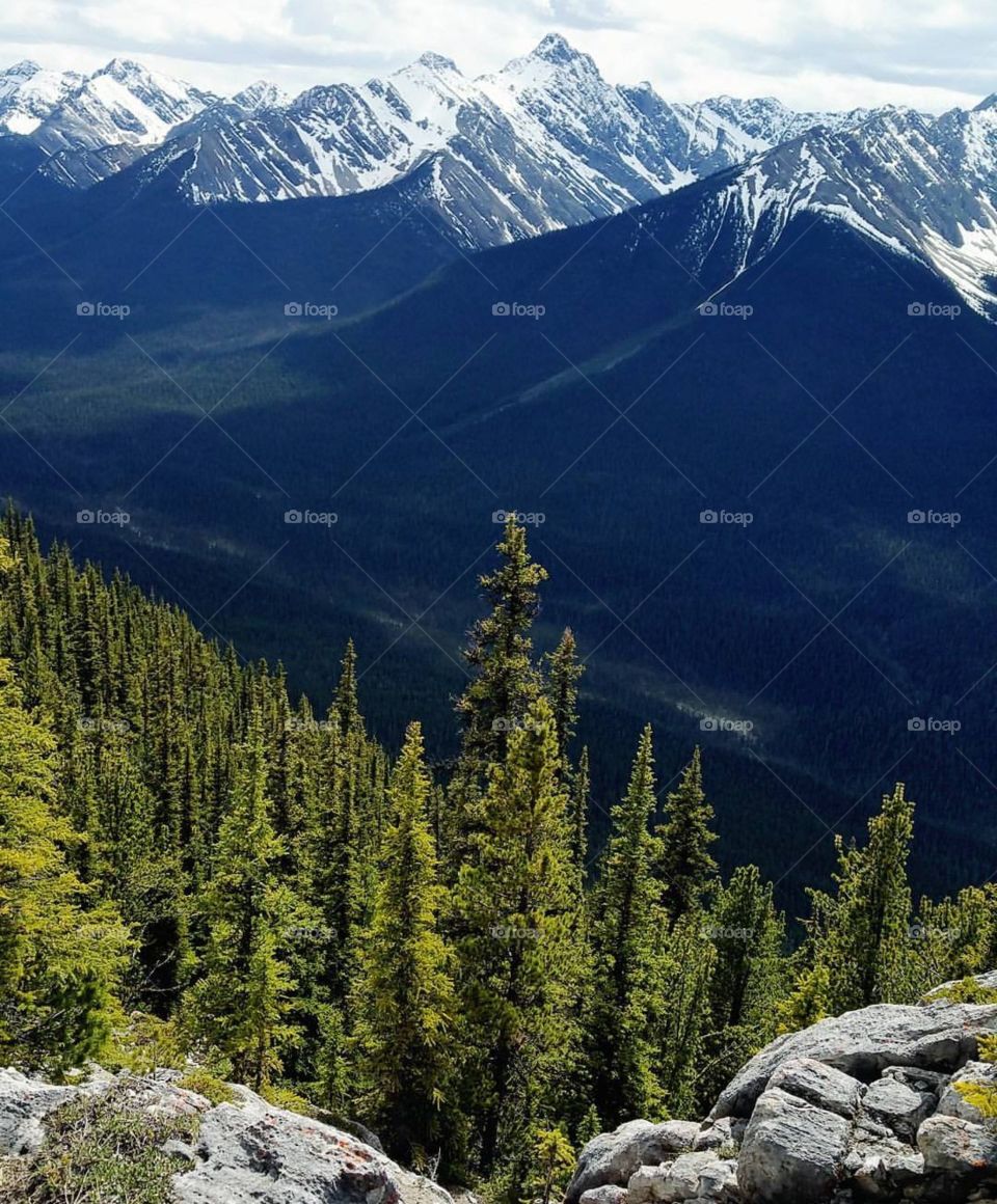 Freedom Tastes Like Wilderness.