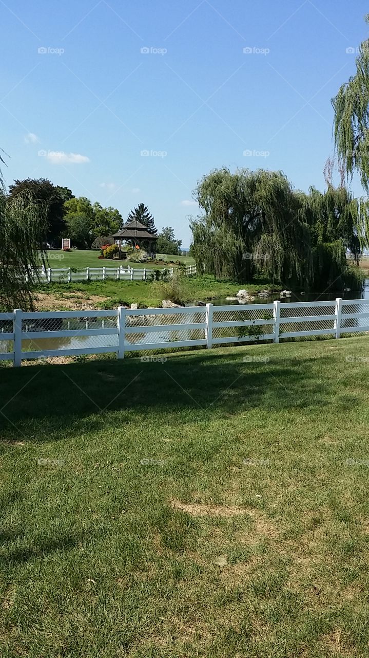 white picket fence behind stream