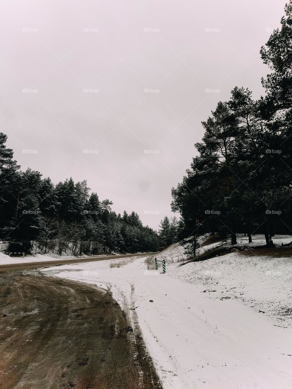 The road, covered with snow, behind the pine tree forest, cloudy weather, dark winter forest