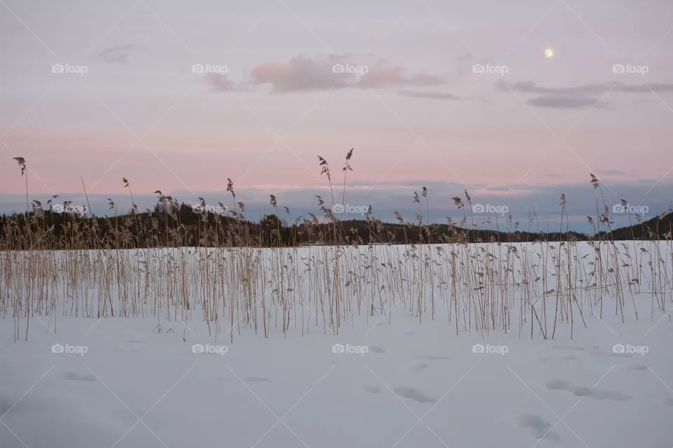 winter