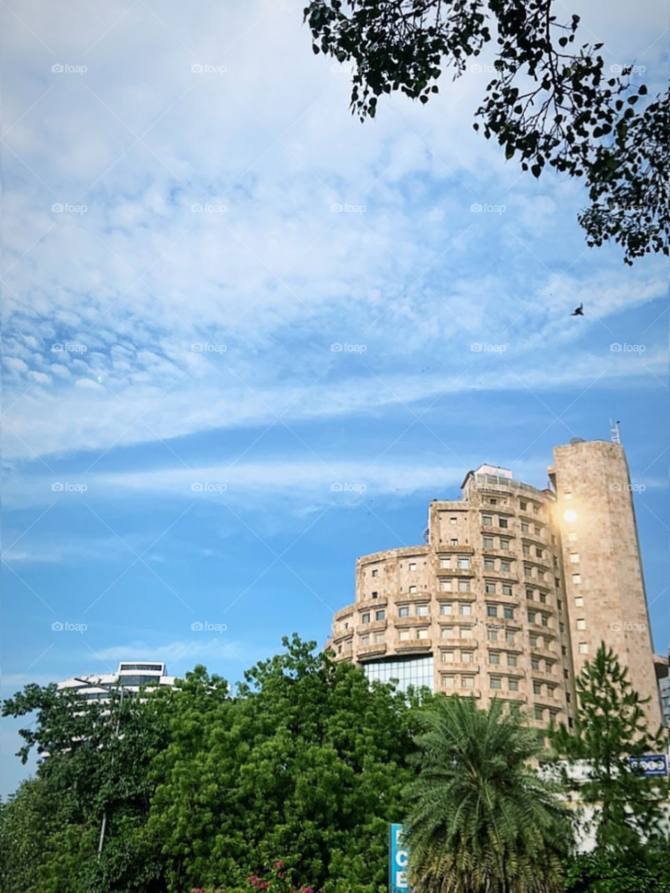 Aim for the sky, but move slowly, enjoying every step along the way. It is all those little steps, that makes the journey complete.