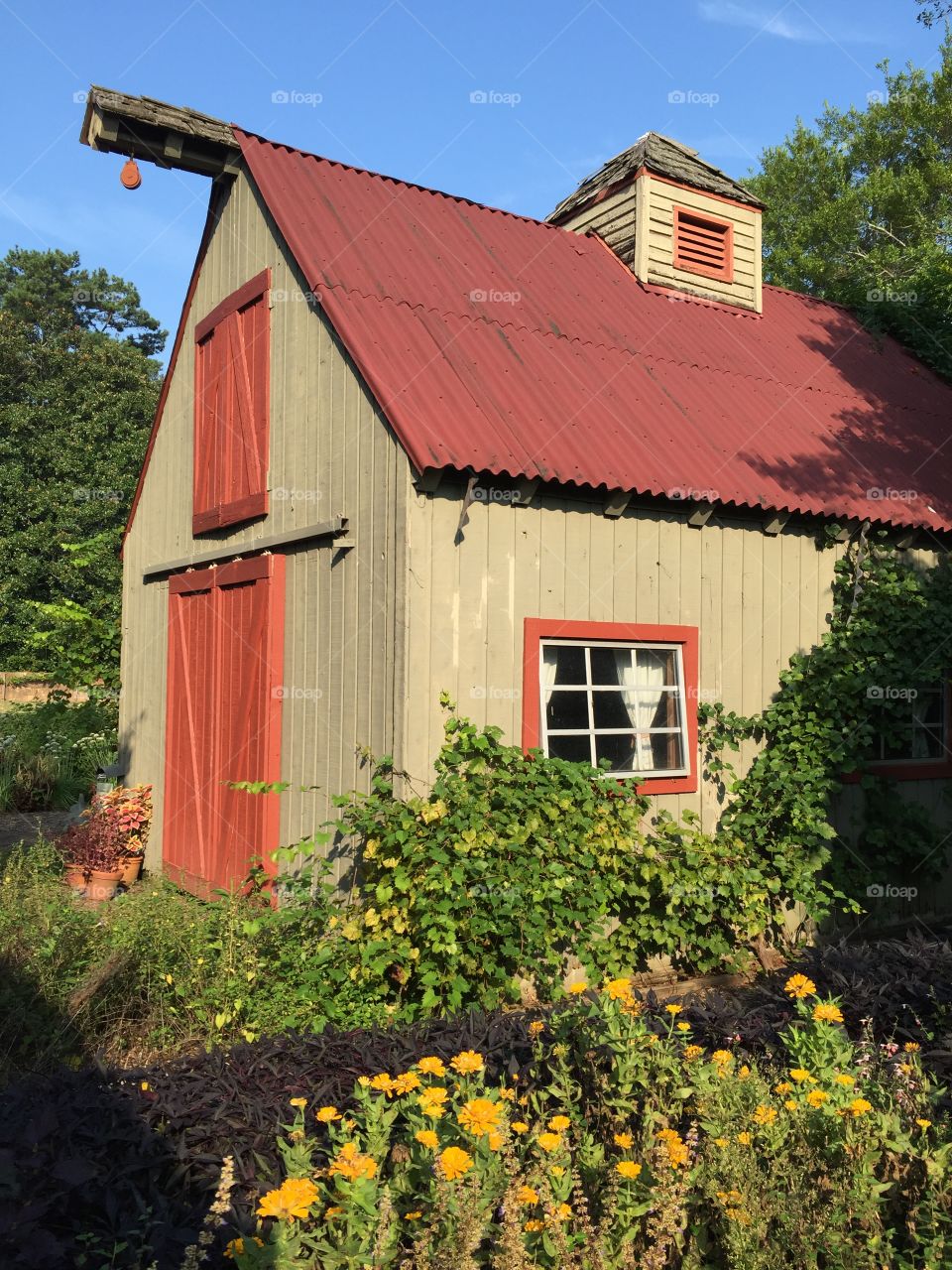 Potting Shed