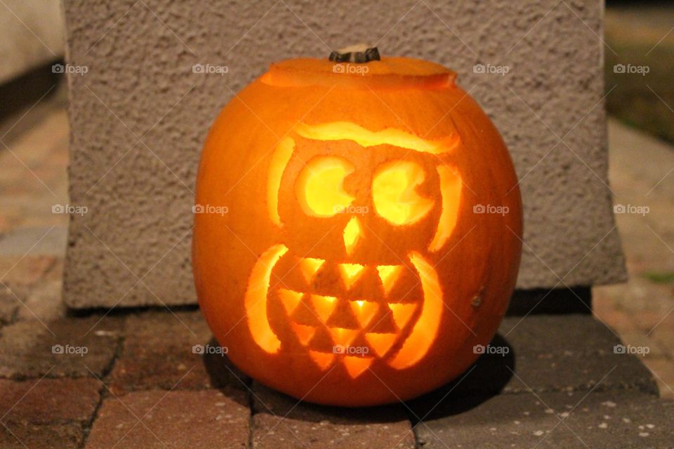 Owl Carved Pumpkin 