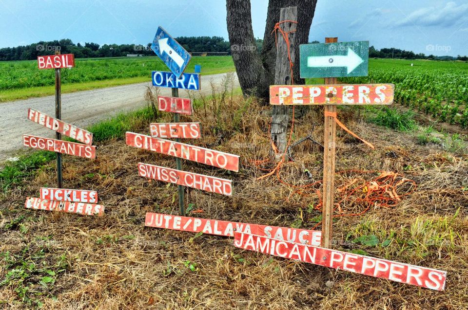 Vegetable Signs on Farm