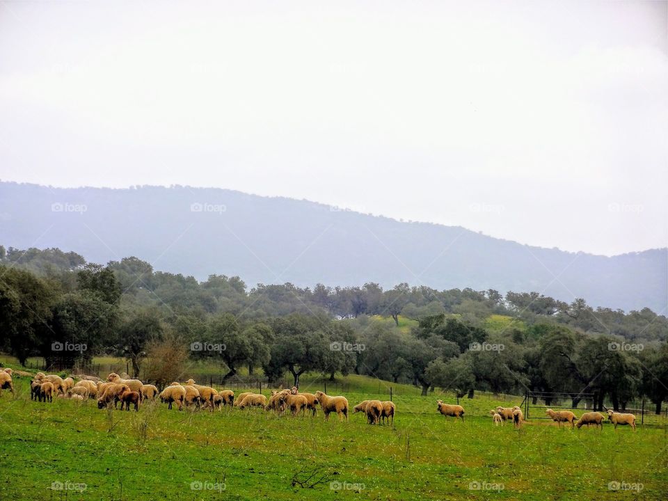 Hiking outside Sevilla, Spain