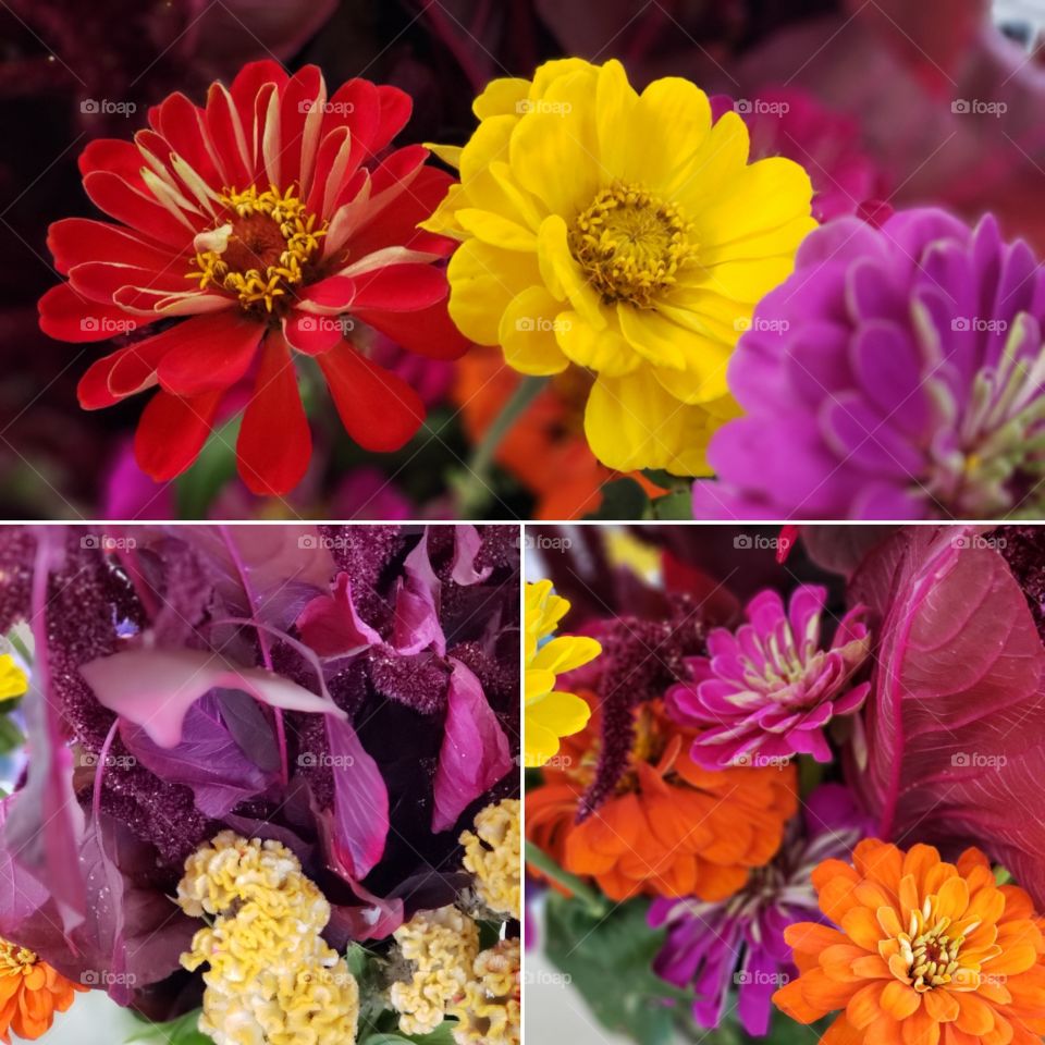 Fresh cut flowers grown in Freedom, Maine. Pictured are assorted zinnias, celosia and upright red amaranth
