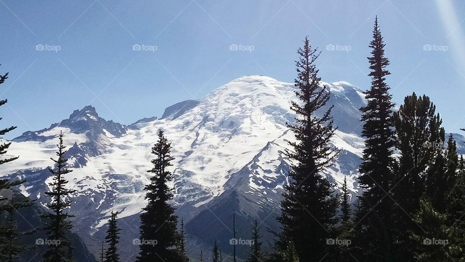 Snow Mount Rainier 