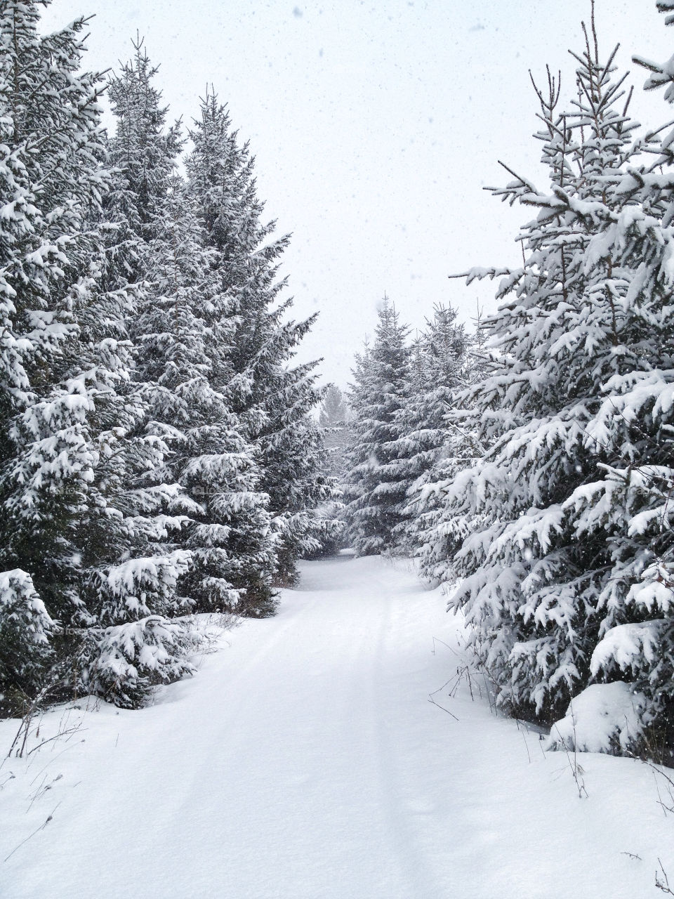 Cross country skiing