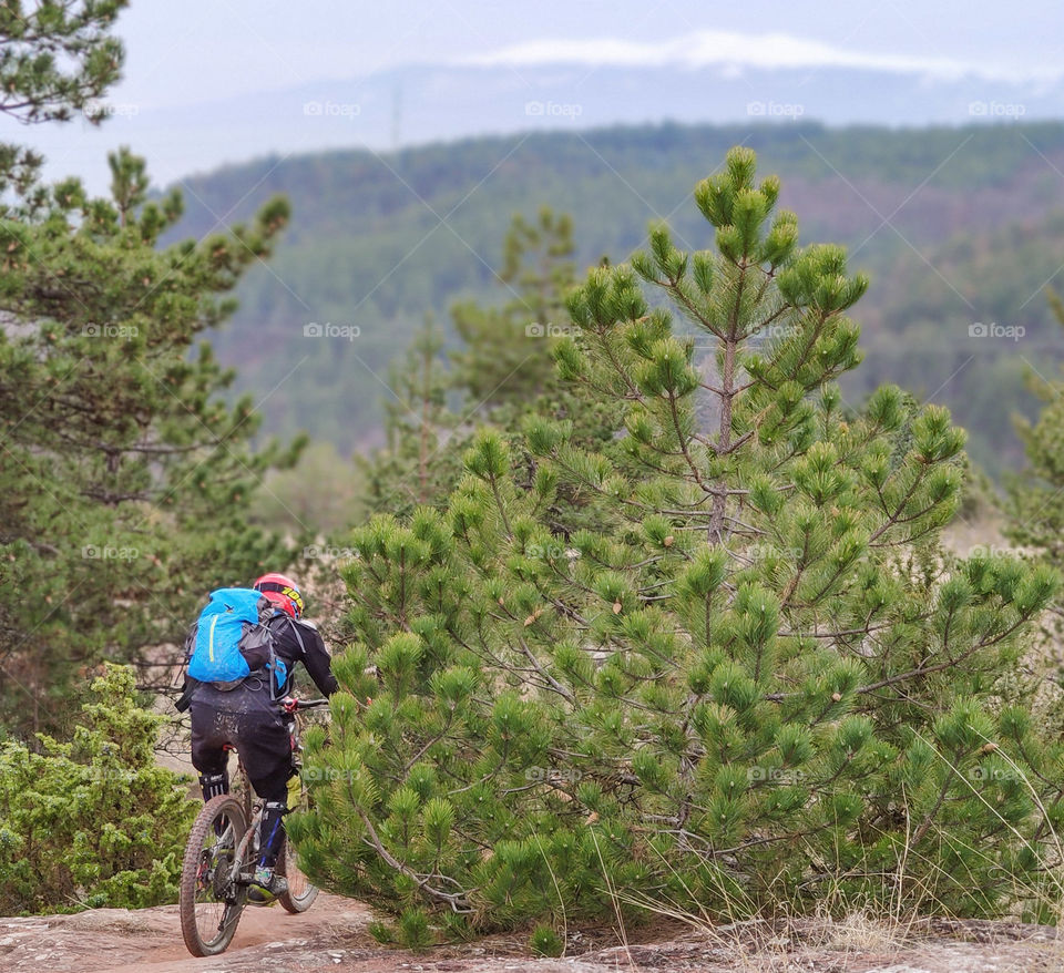 Bicycle round in the forest