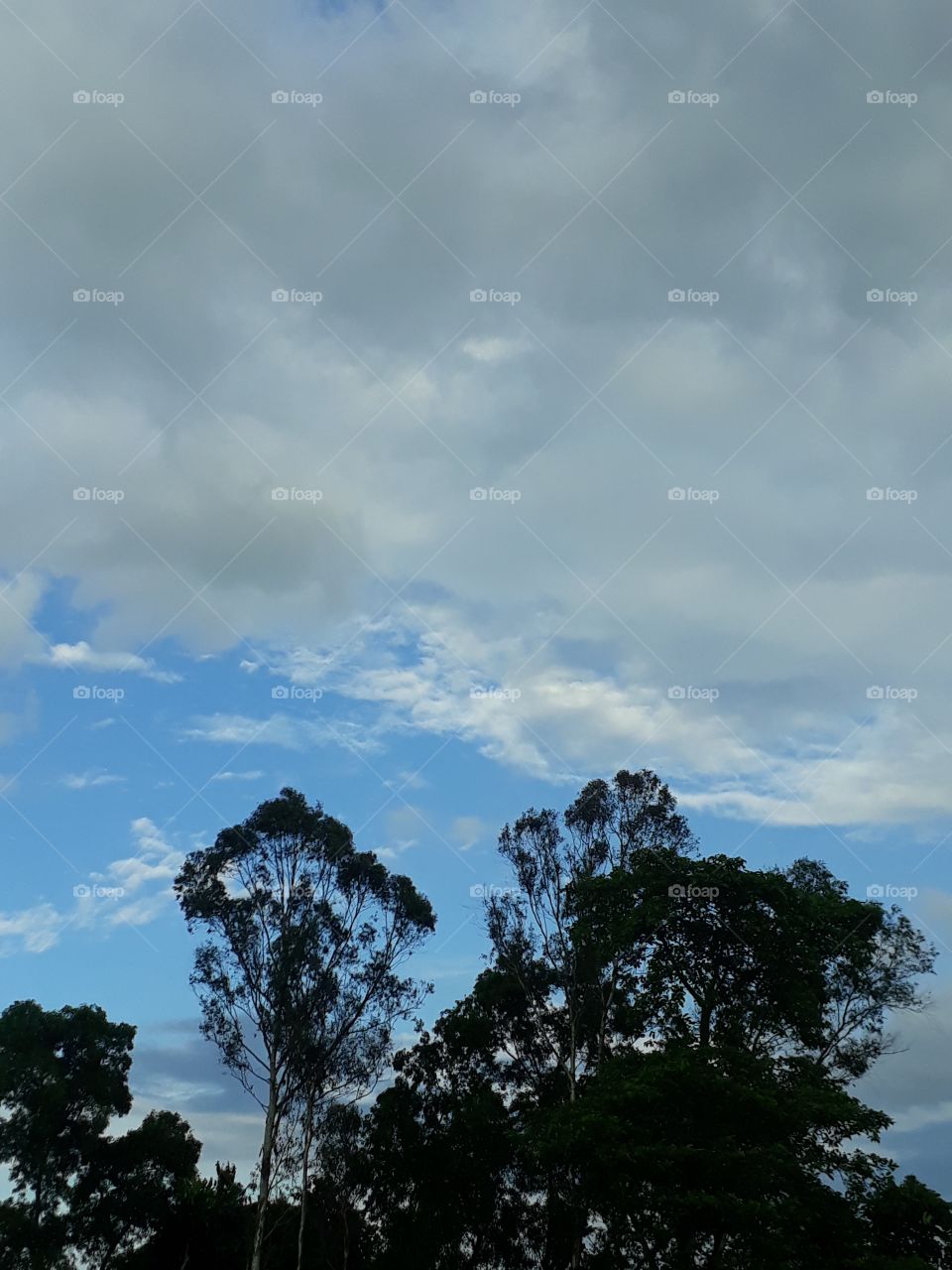 Beautiful cloud in the sky Indian village