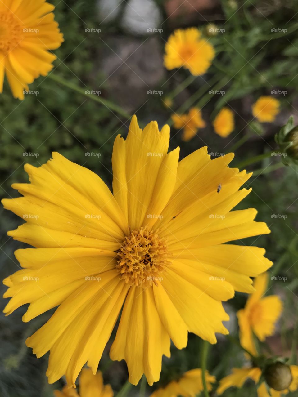 Summer time in Denver, Colorado.