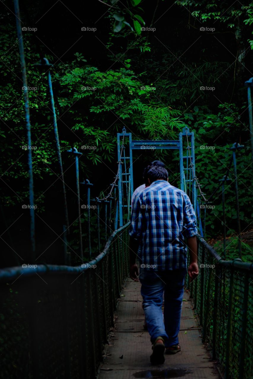 walking into the greenery!