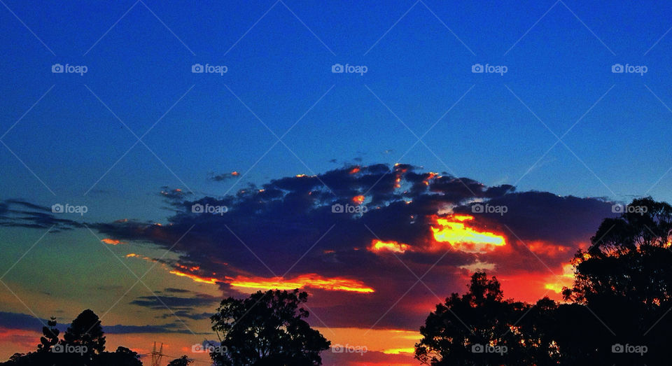 tree sunset sun cloud by aussiebob