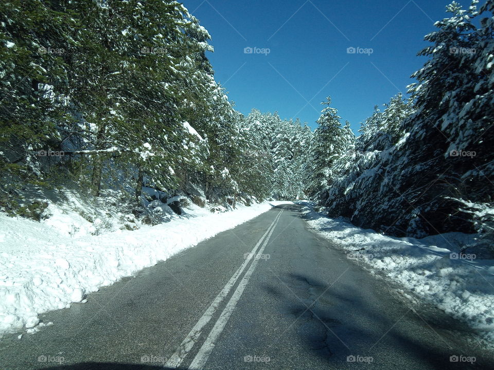 snow n  road